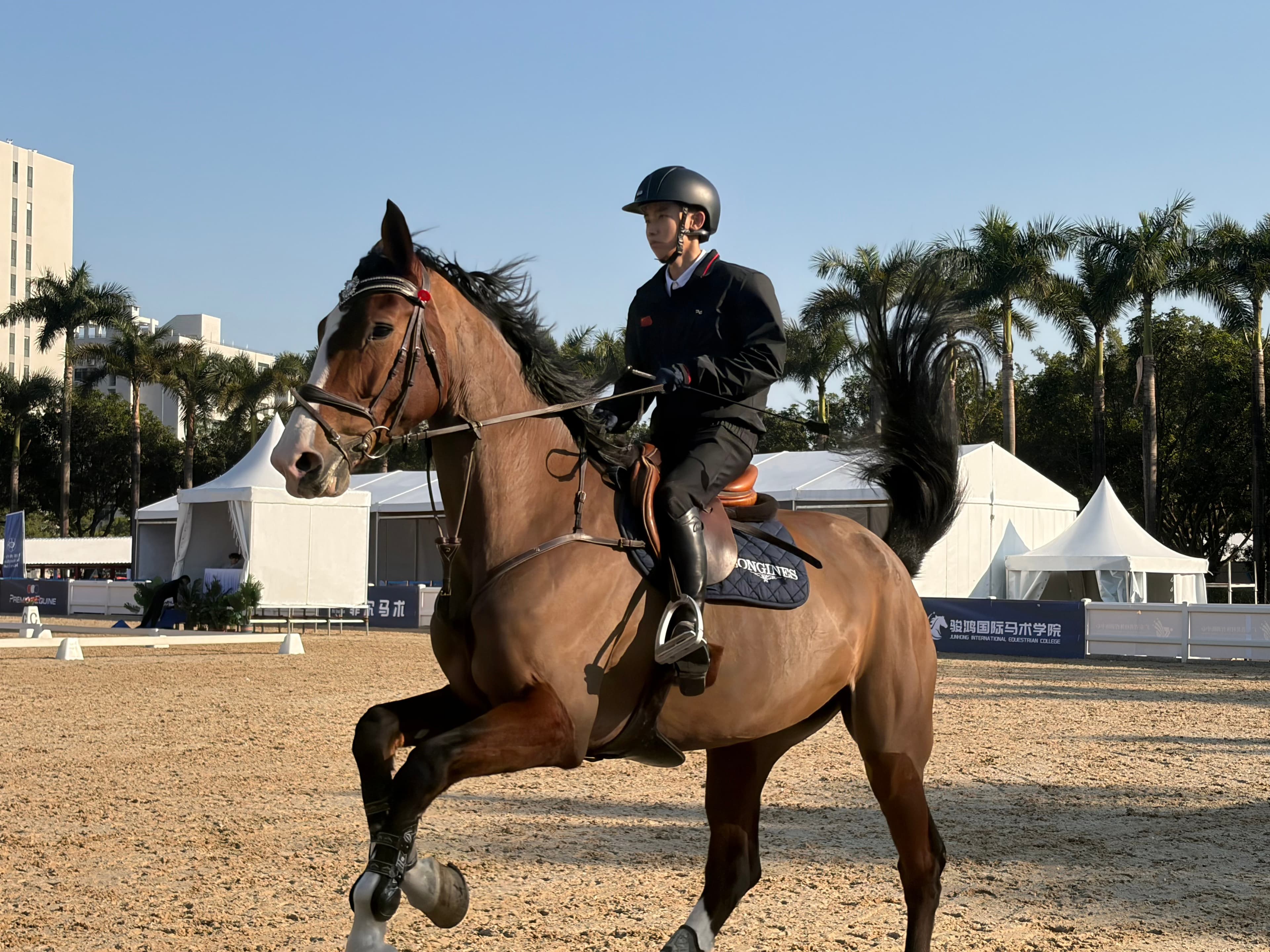 2026第四届广东省马术节